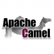 Apache Camel Training in Croatia