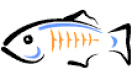 GlassFish Training in Croatia