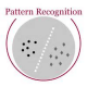 Pattern Recognition Training in Croatia
